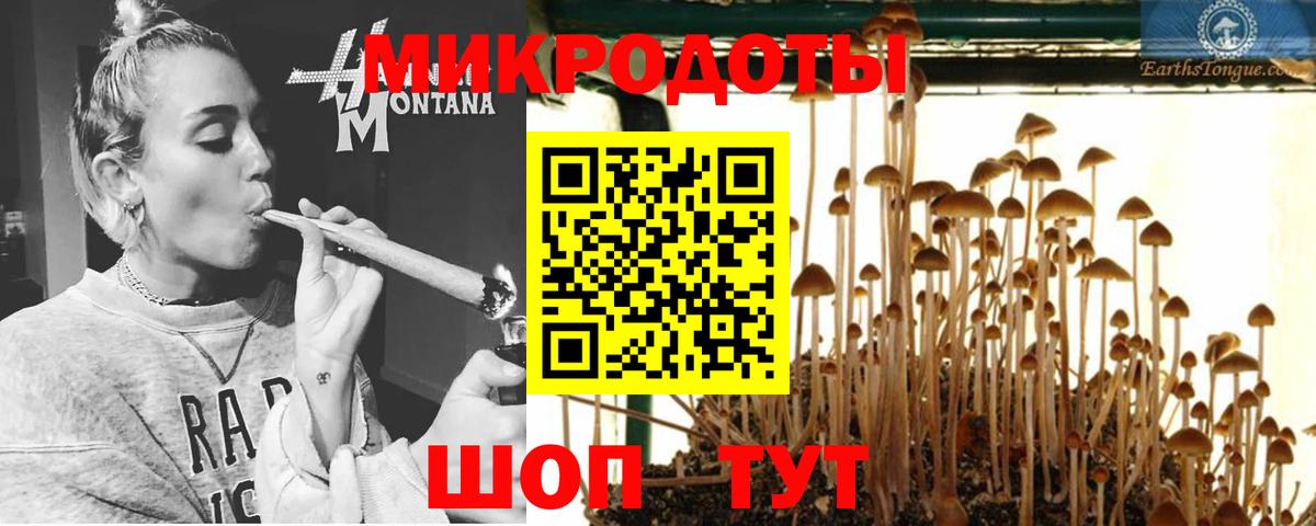 Галлюциногенные грибы мицелий Усть-Лабинск
